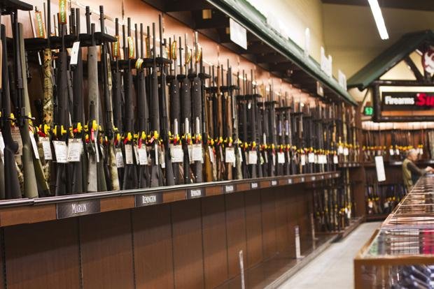 gander mountain firearms