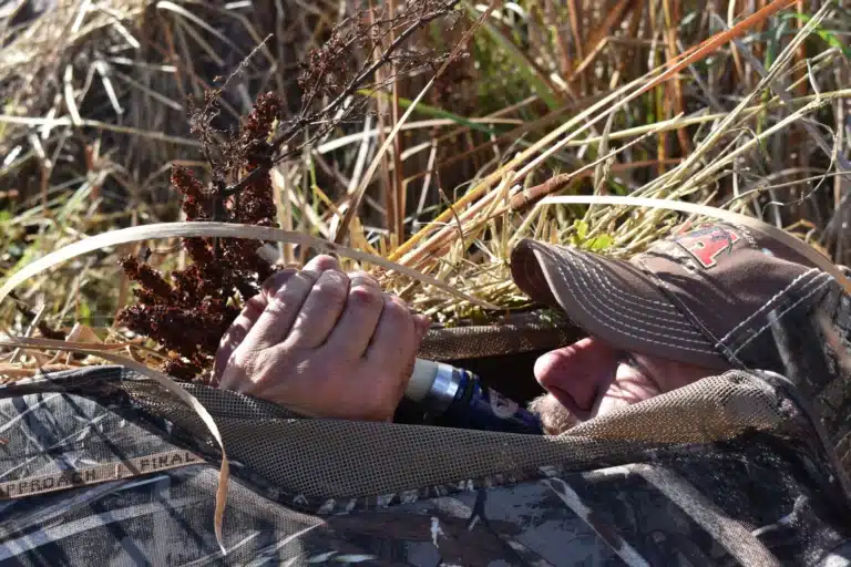 gander mountain layout blind